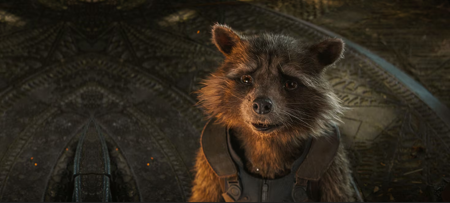 Rocket Racoon Guardians of the Galaxy, which has many 3D animation elements